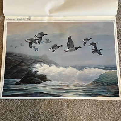 American Waterfowl Prints