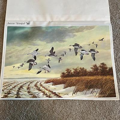 American Waterfowl Prints
