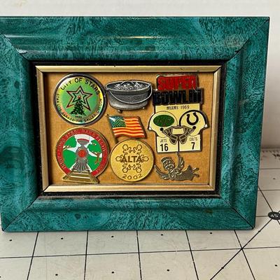Framed Collector Pins