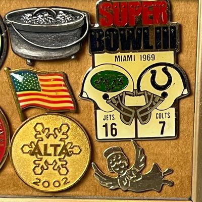 Framed Collector Pins