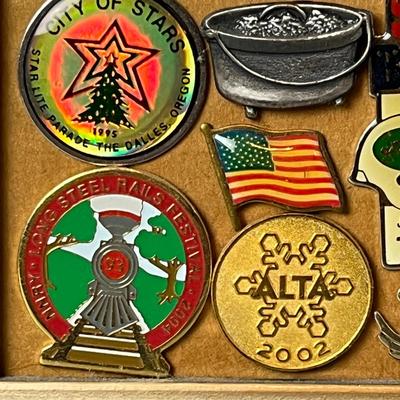 Framed Collector Pins