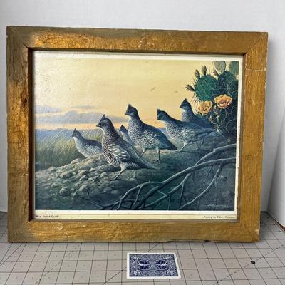 Framed "Blue Scaled Quail" Print by Robert Widmeier