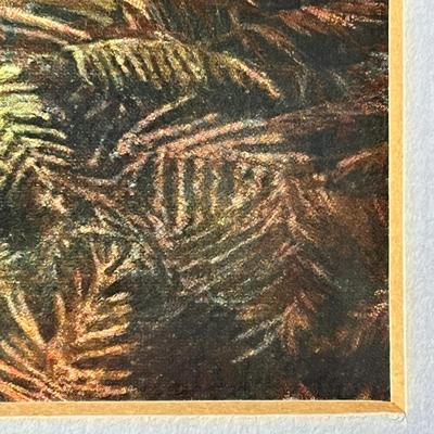 Framed Pheasant Print