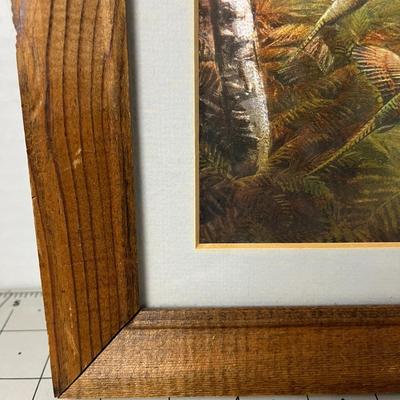 Framed Pheasant Print