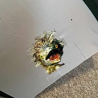 The Nature Conservancy Bird Umbrella