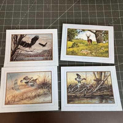 Various Bird Print Cards and Envelope