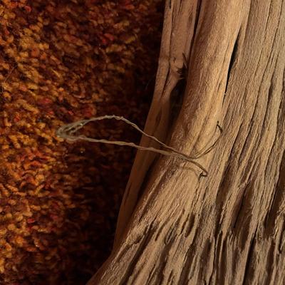 Decorative Tree Branch