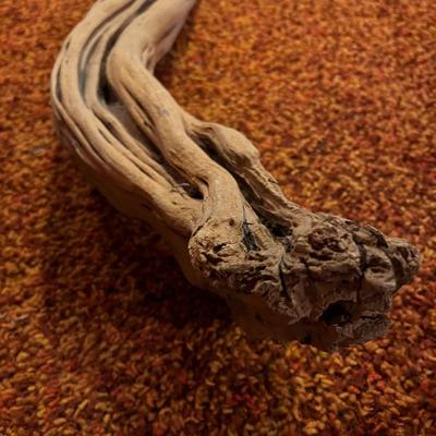 Decorative Tree Branch