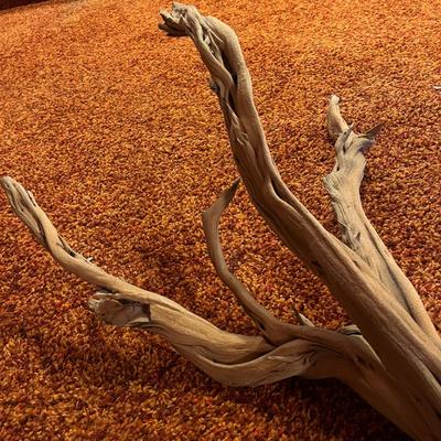 Decorative Tree Branch