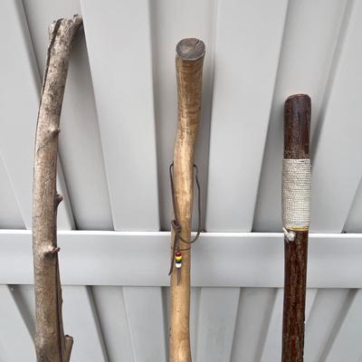 Walking Sticks (3)
