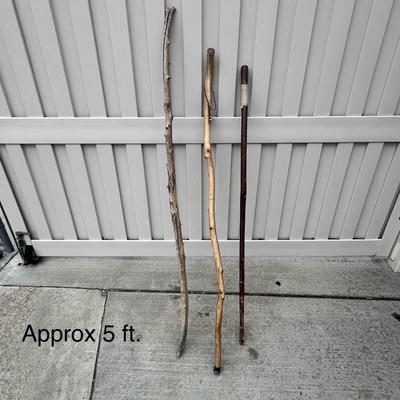 Walking Sticks (3)