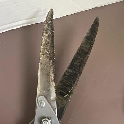 Trimmers, Axe, and Clippers
