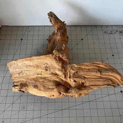 Wood Bark and Tree Stump