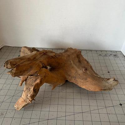 Wood Bark and Tree Stump