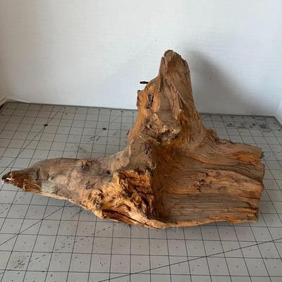 Wood Bark and Tree Stump