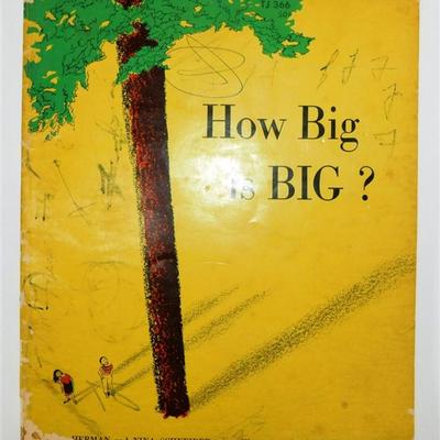 Lot of 5 Children's Books- Walt Disney & Scholastic - Breer Rabbit & His Friends 1973 ~ How Big is Big 1964 ~ The Magic...