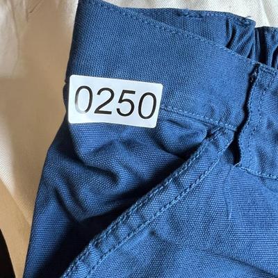 Lot of 10 Pairs Mens Shorts - Nike, Izod, Under Armour Sz. XL