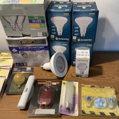W1385 Defiant Security Light & Assorted Light Bulbs