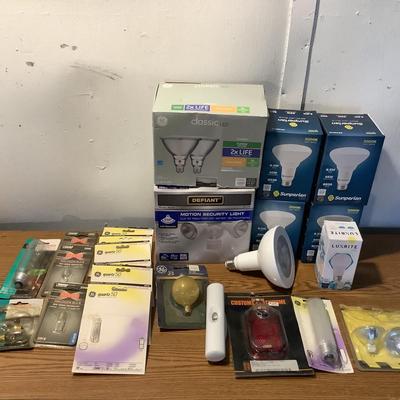 W1385 Defiant Security Light & Assorted Light Bulbs