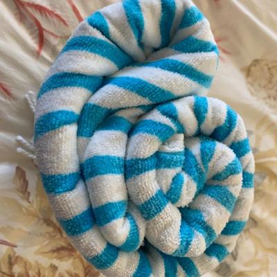 New Rodan & Fields Beach Towel