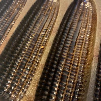 Cast Iron Skillets & Corn Molds by Crofton, Universal, & More (K-HS)