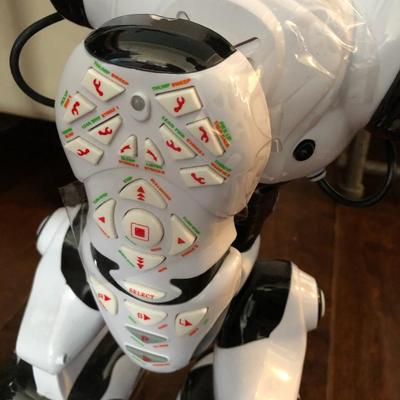 ROBOSAPIEN w/ Remote
