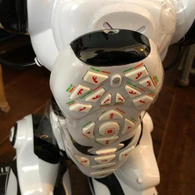 ROBOSAPIEN w/ Remote