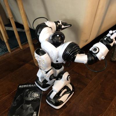 ROBOSAPIEN w/ Remote