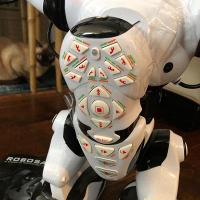 ROBOSAPIEN w/ Remote