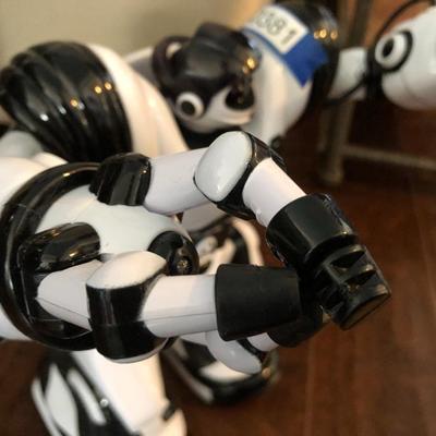 ROBOSAPIEN w/ Remote