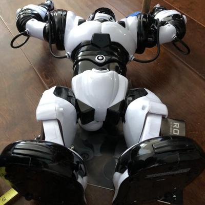 ROBOSAPIEN w/ Remote