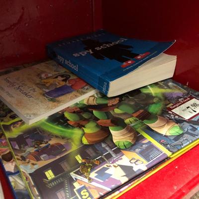 Many Great Books and Red Bookcase