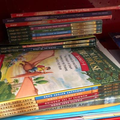 Many Great Books and Red Bookcase