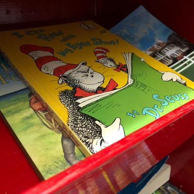 Many Great Books and Red Bookcase