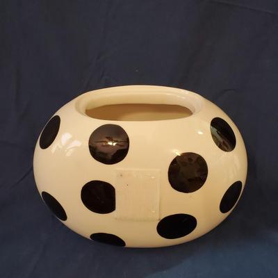 Coton Color Cookie Jar