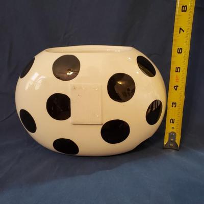 Coton Color Cookie Jar