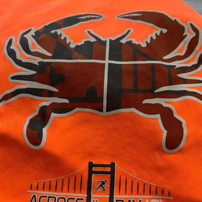 HUGE Mens Tee Shirt Lot