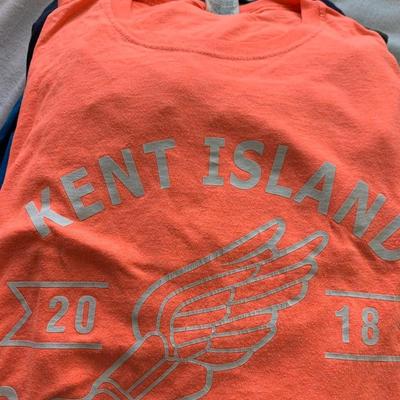 HUGE Mens Tee Shirt Lot