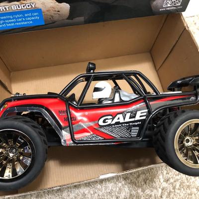 Windstorm Remote Control 1/16 Desert Buggy 2.4GHz