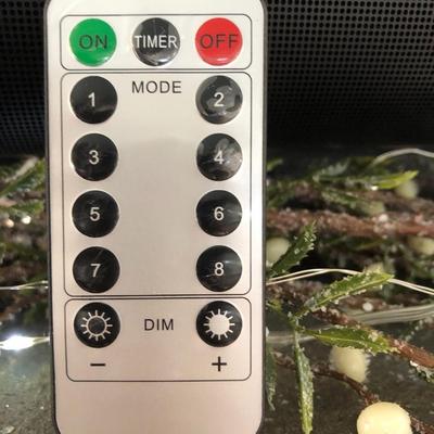 Lighted Garland with Remote