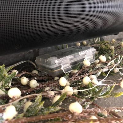 Lighted Garland with Remote