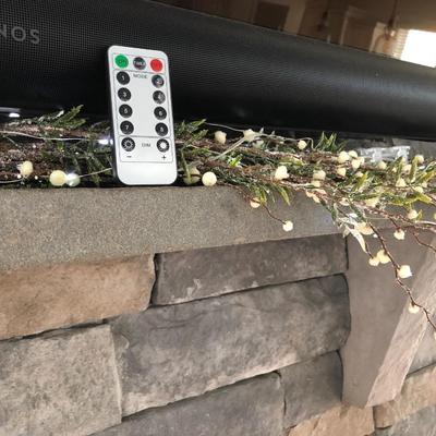 Lighted Garland with Remote