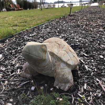 Stone Outdoor Turtle