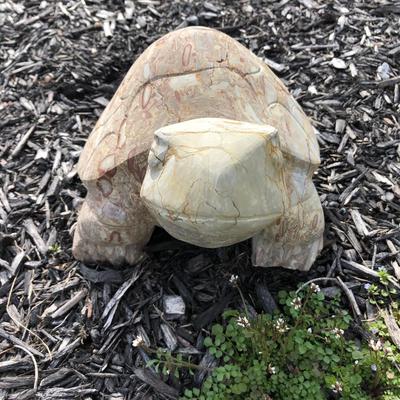 Stone Outdoor Turtle