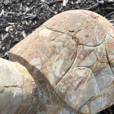 Stone Outdoor Turtle