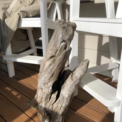 Large Yard Art / Driftwood
