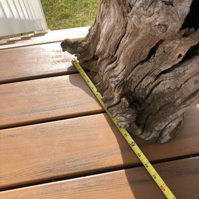 Large Yard Art / Driftwood