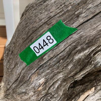 Large Yard Art / Driftwood