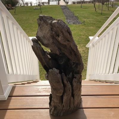 Large Yard Art / Driftwood