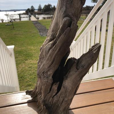 Large Yard Art / Driftwood